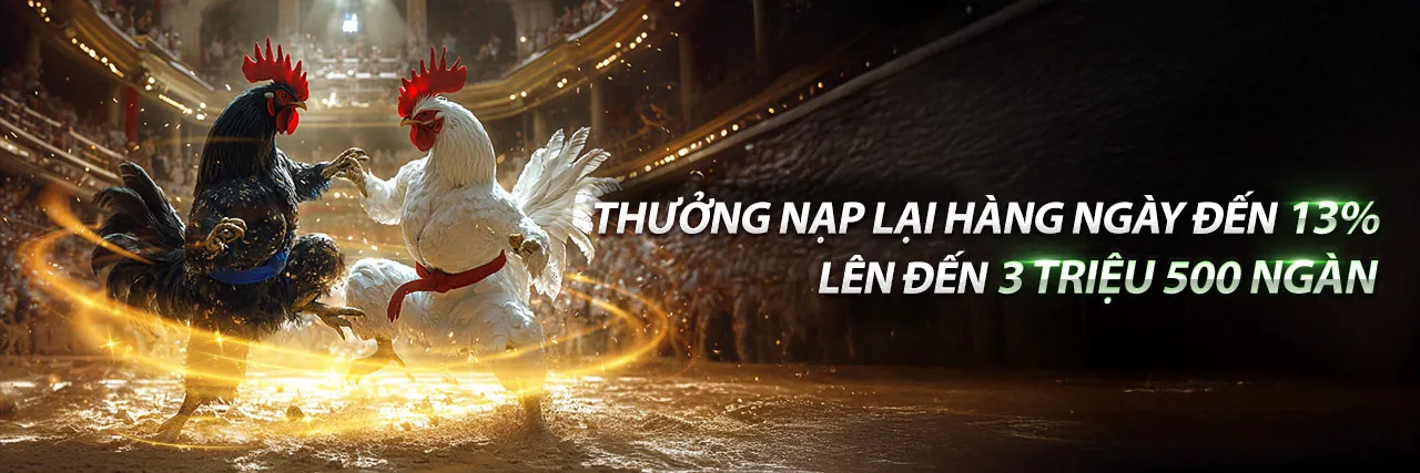 Banner tải ứng dụng vn999