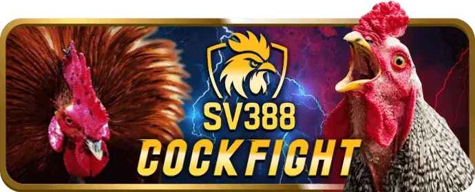 Game bài Phỏm online tại VN999